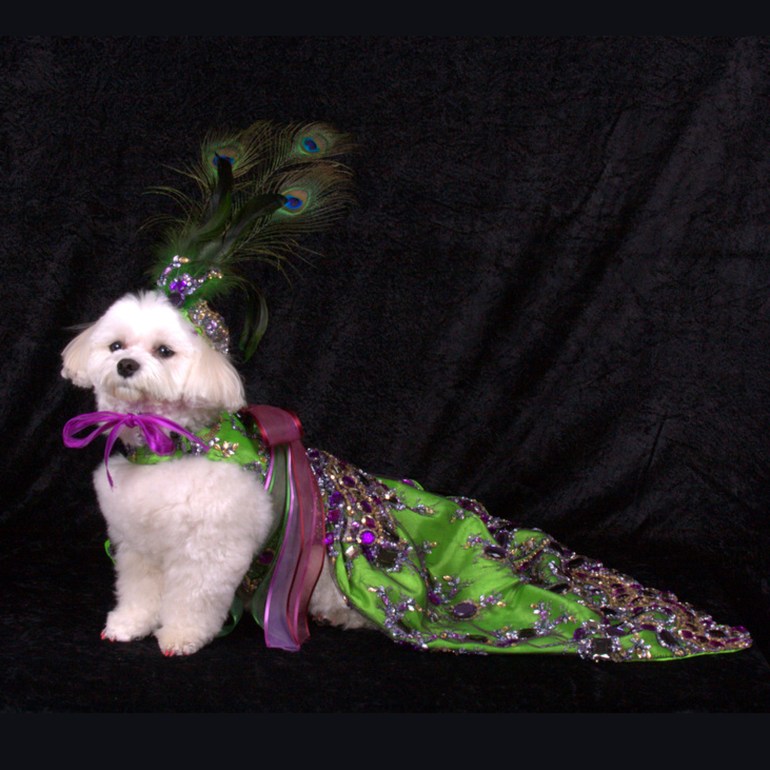 Bella Mia is wearing Linda Higgins (Photo by Richie Schwartz)