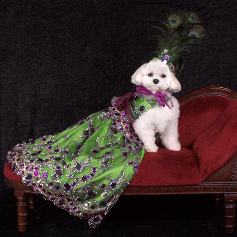 Bella Mia is wearing Linda Higgins (Photo by Richie Schwartz)