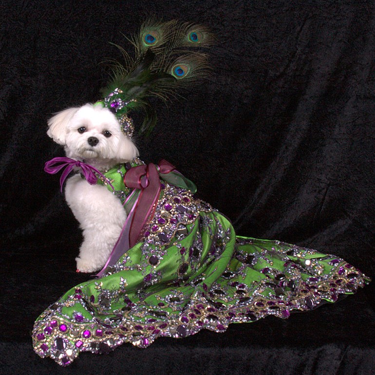 Bella Mia is wearing Linda Higgins (Photo by Richie Schwartz)