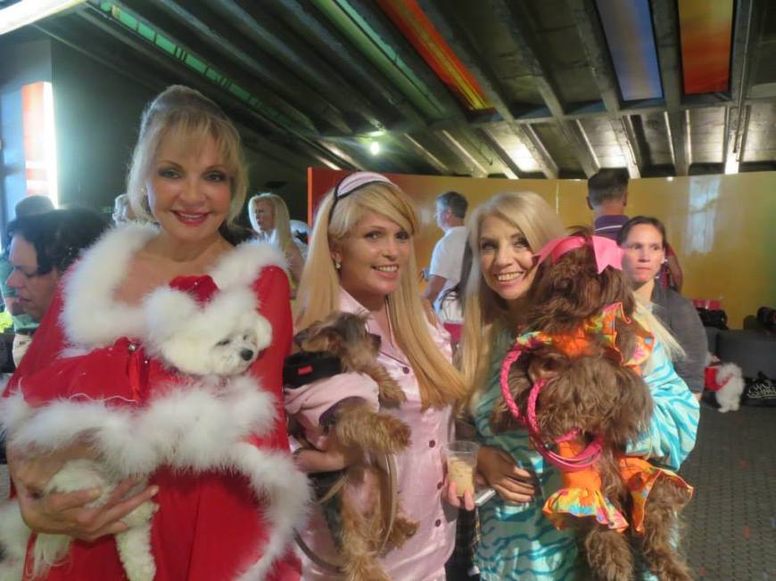 Bella Mia at Celebrity Catwalk's PJ's & Paws event