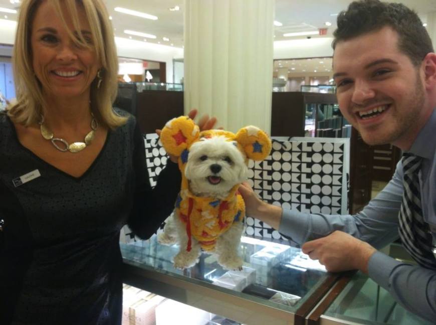 1546126_1436993579868552_1994822144_n