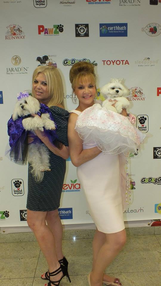 189889_473447206066245_84471897_n