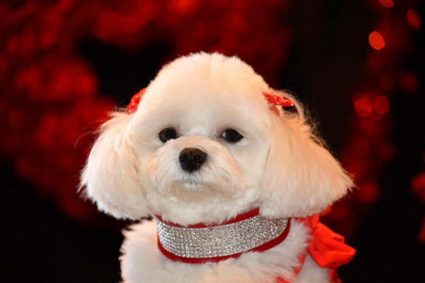 312413_322592421193869_1328211332_n (1)