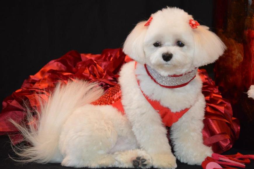 321301_322595244526920_1904546256_n