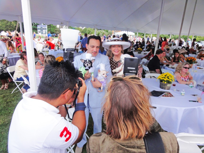 Bella Mia Wows at Greenwich Polo Club