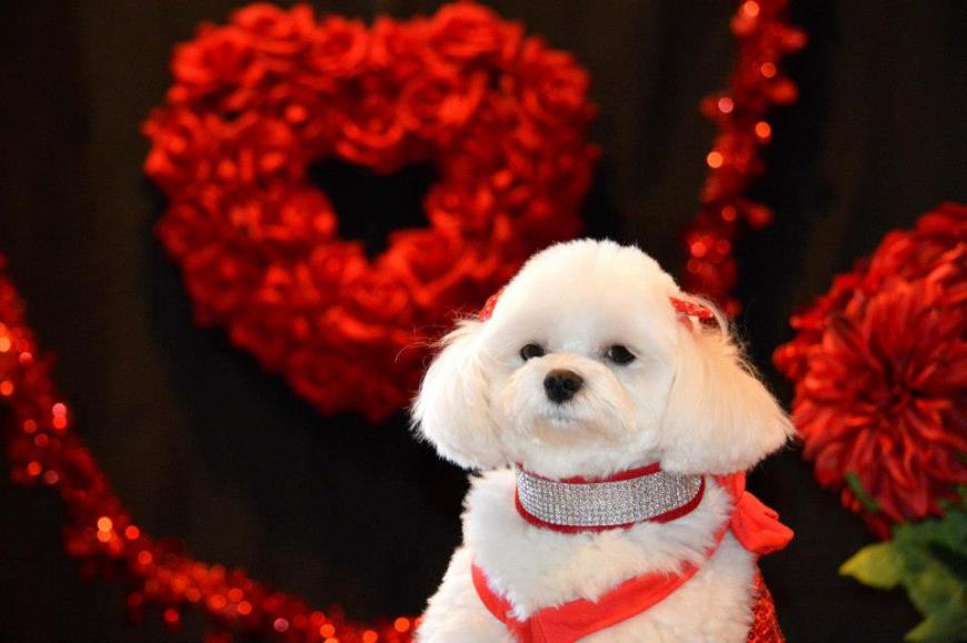 484841_322592511193860_1992842412_n