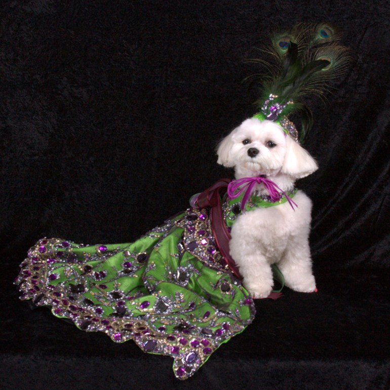 Bella Mia is wearing Linda Higgins (Photo by Richie Schwartz)