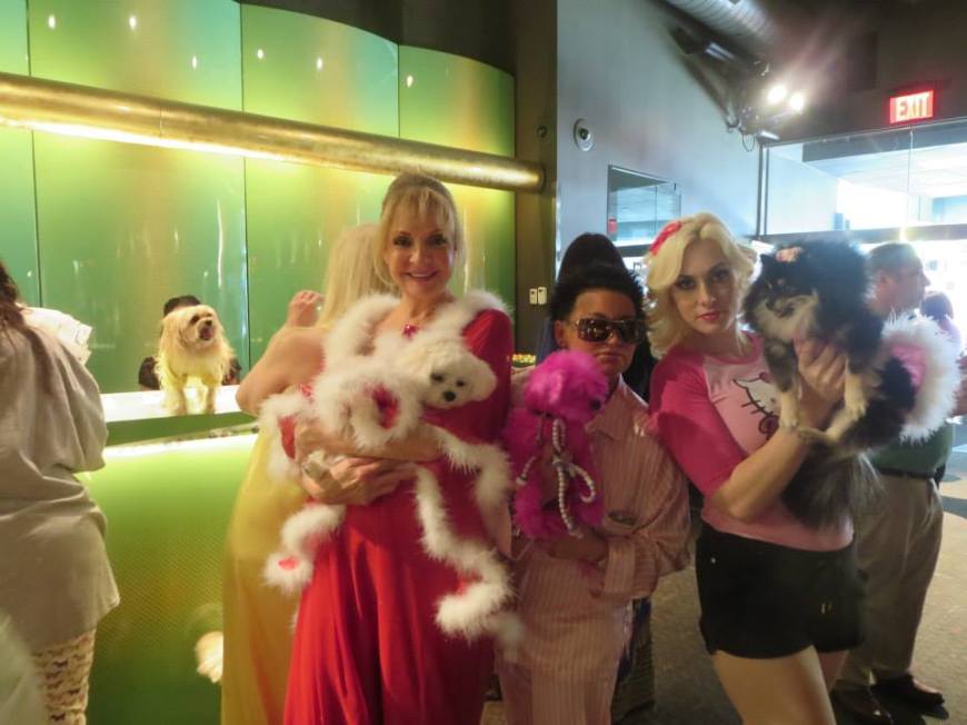 Bella Mia at Celebrity Catwalk's PJ's & Paws event