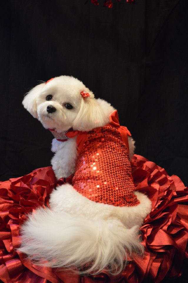 6365_322594514526993_1408109850_n