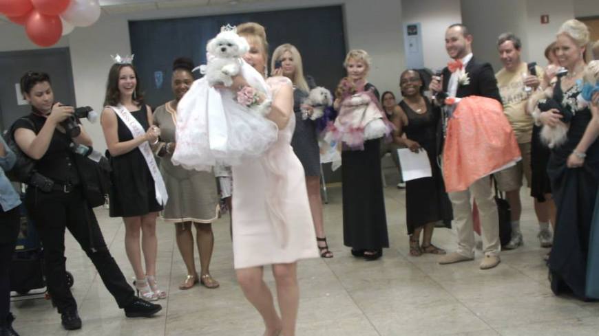 7311_473470812730551_2122913219_n