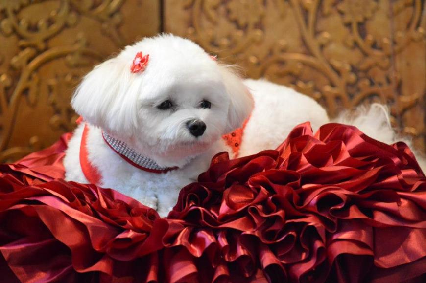 734743_322599697859808_525319316_n