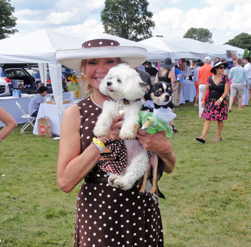Bella Mia Wows at Greenwich Polo Club