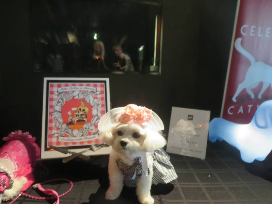 Bella Mia at Celebrity Catwalk's PJ's & Paws event