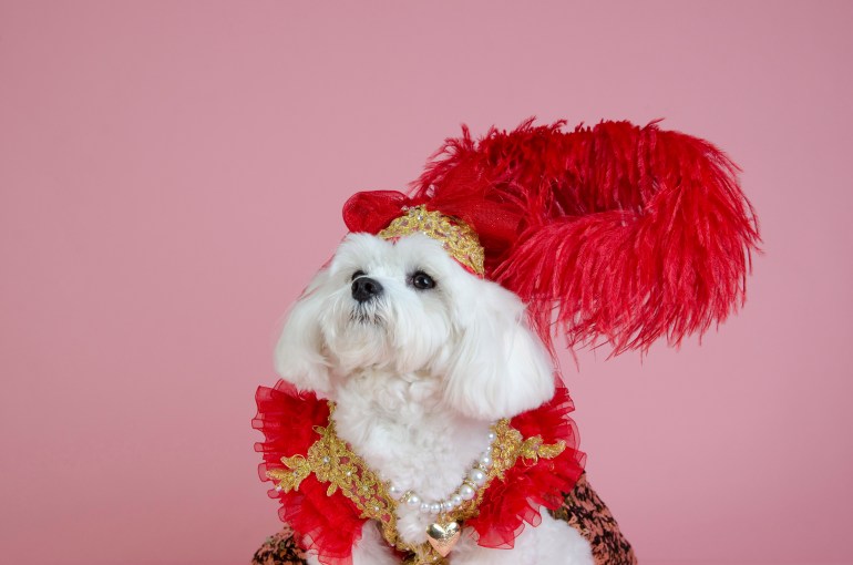 By Anthony Rubio Designs - Photo by Sophie Gamand