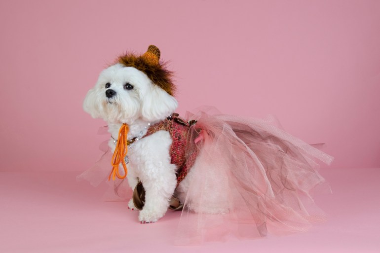 Photo by Sophie Gamand