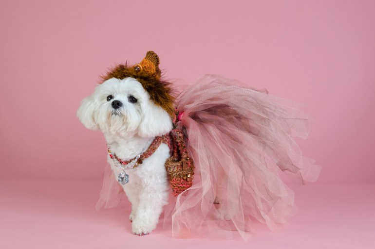 Photo by Sophie Gamand