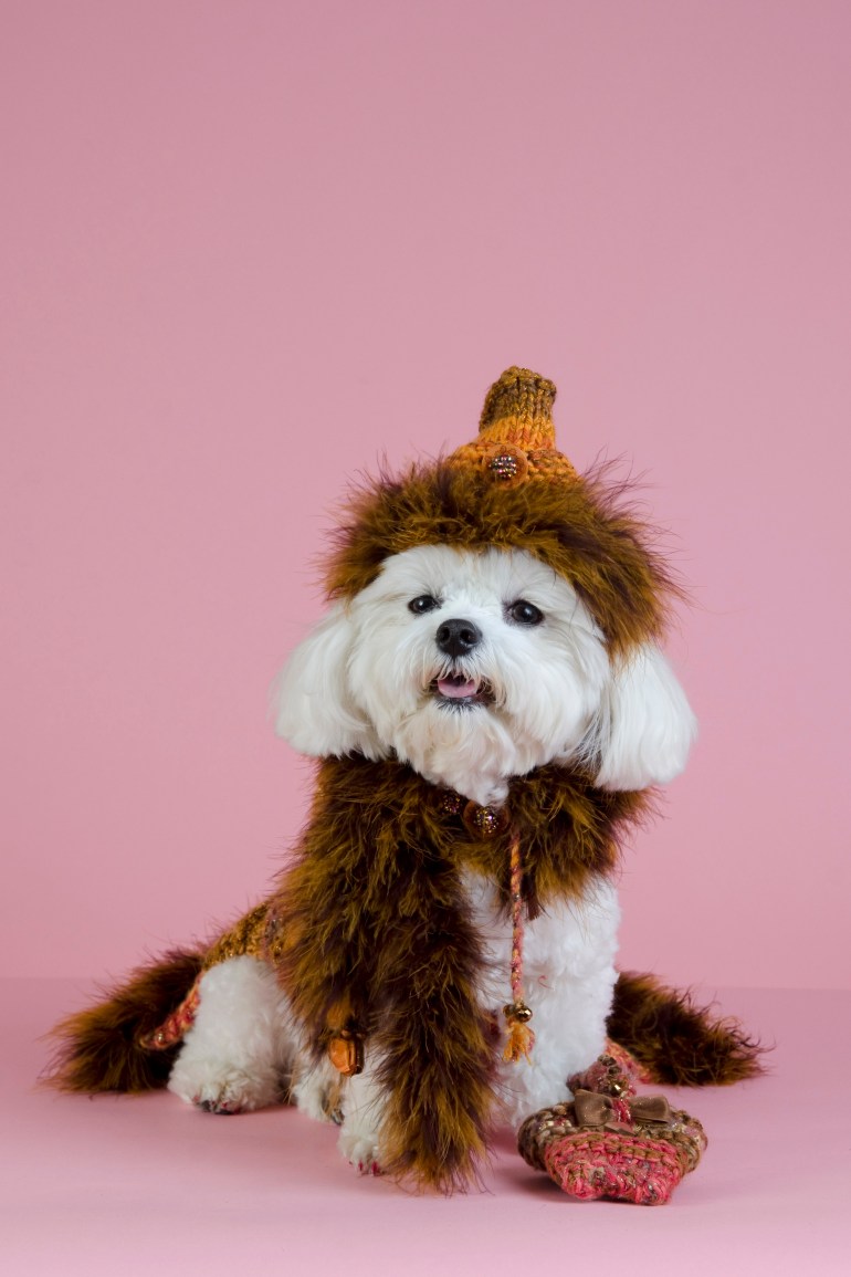 Photo by Sophie Gamand