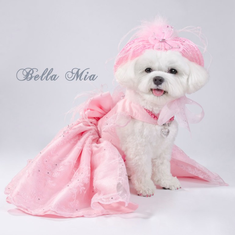 Photo by Sophie Gamand