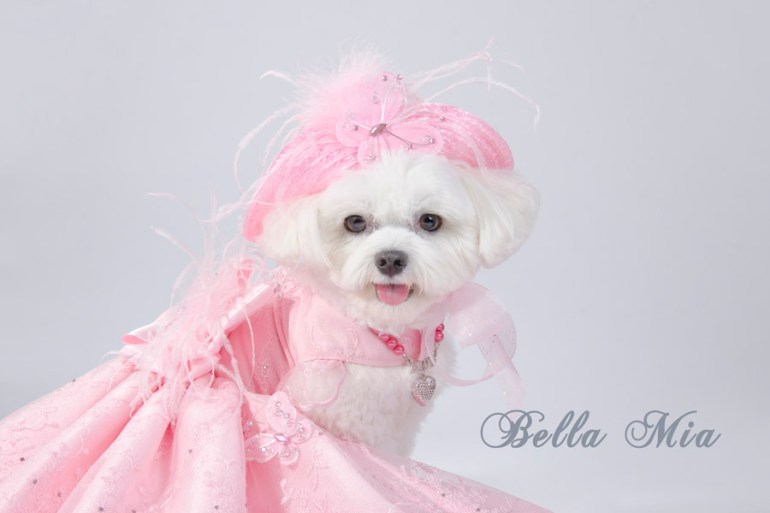 Photo by Sophie Gamand