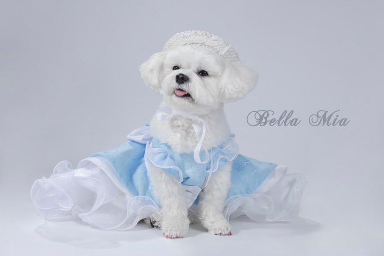 Photo by Sophie Gamand