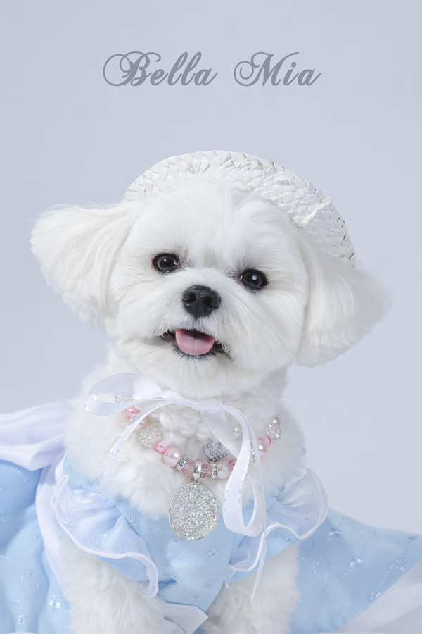 Photo by Sophie Gamand