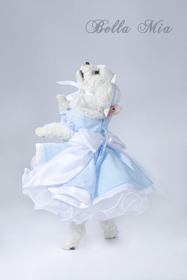 Photo by Sophie Gamand