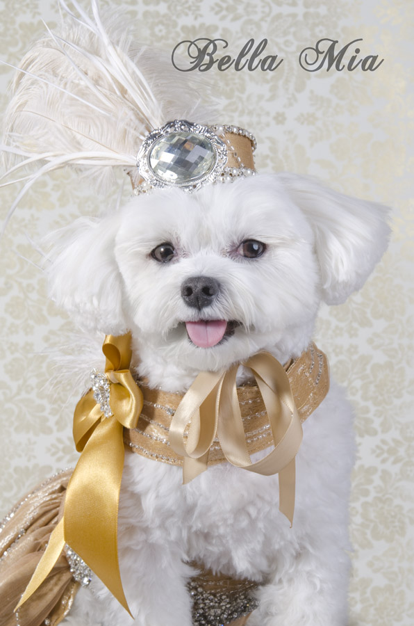 Photo by Sophie Gamand