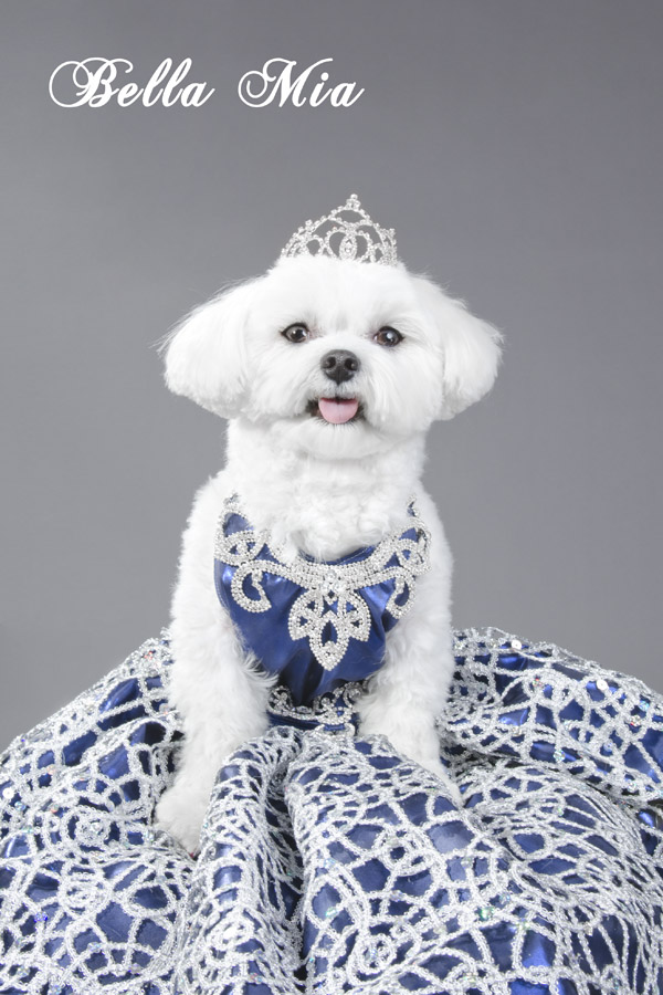 Photo by Sophie Gamand