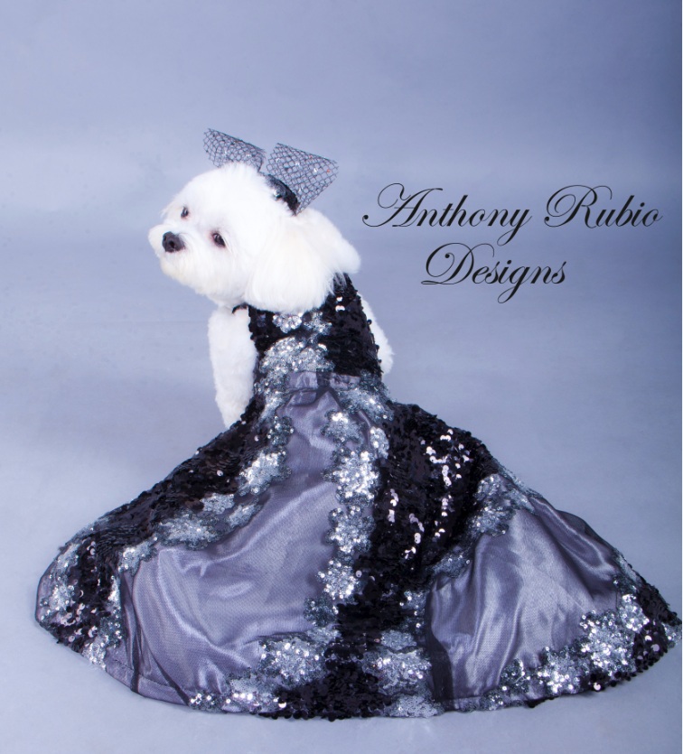 Bella Mia wearing Anthony Rubio Designs - (Photo by Yoni Levy)