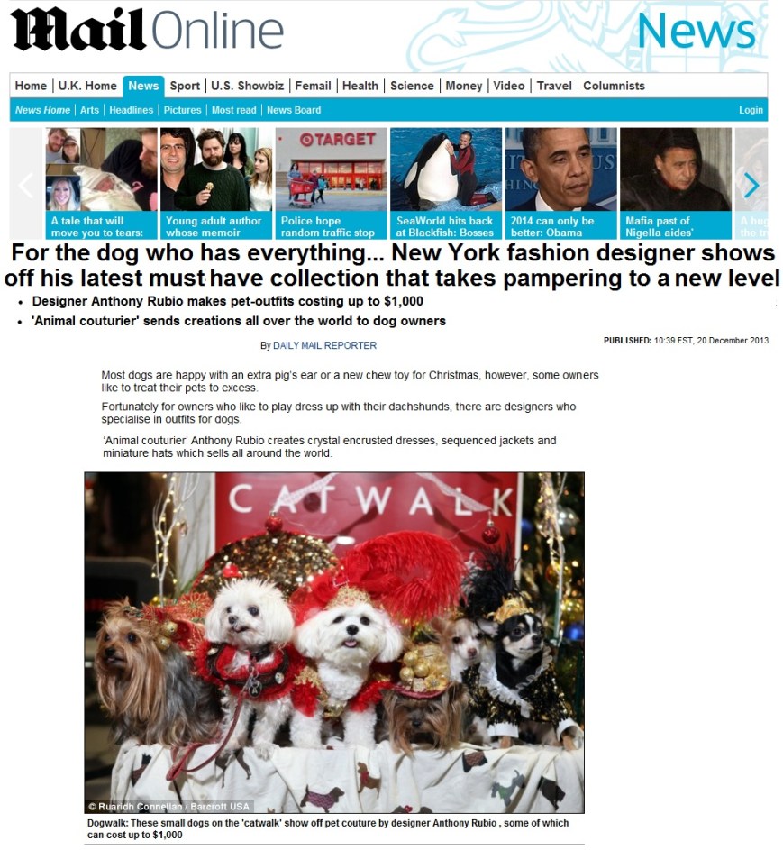 Anthony Rubio with Bogie and Kimba Interviewed for MSM World News 12