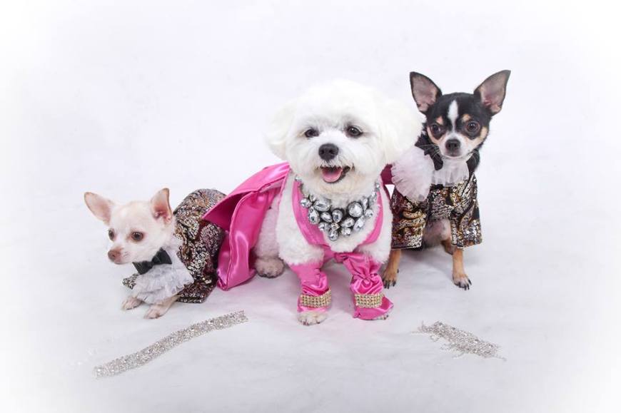 Bella Mia as Marilyn Monroe by Anthony Rubio Designs - Photo by Yoni Levy