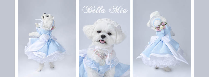 Photo by Sophie Gamand