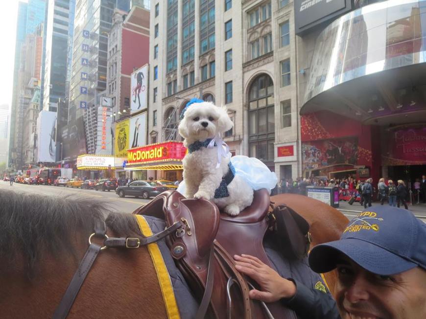Bella Mia Twerks in Times Square 