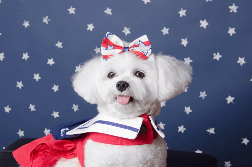 BellaAmerican48-2-13