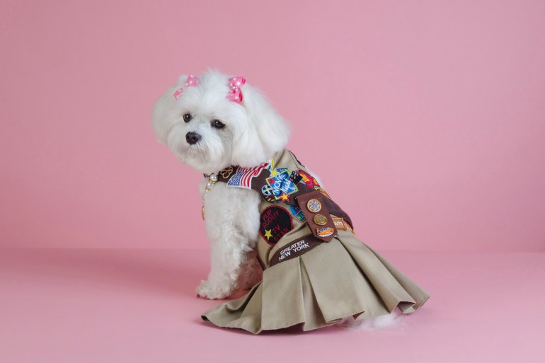 Bella Mia Pupscout uniform