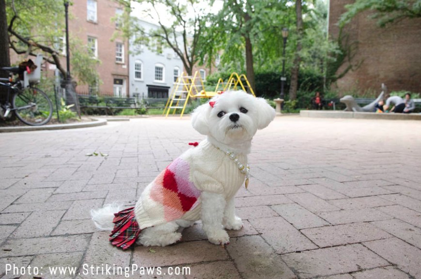 BellaMiaPlaidSchoolGirlDress2