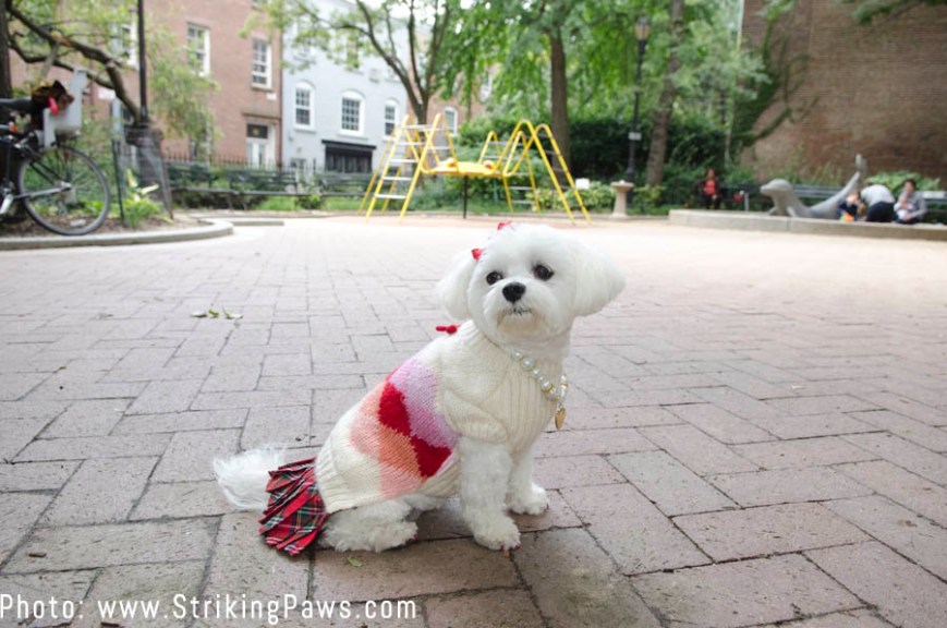 BellaMiaPlaidSchoolGirlDress3