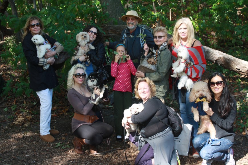 Pupscout Troop 4 in New York