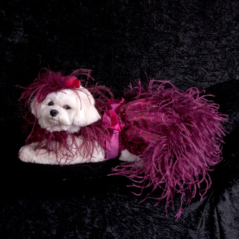 Bella Mia is wearing Linda Higgins (Photo by Richie Schwartz)