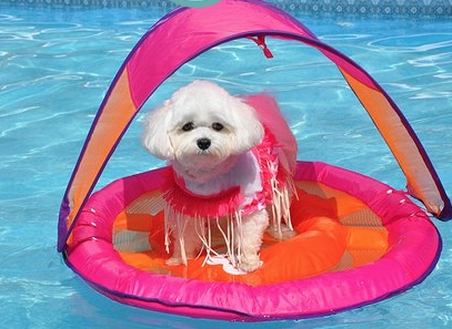 ScreenShot2013-11-02at6.08.52PM