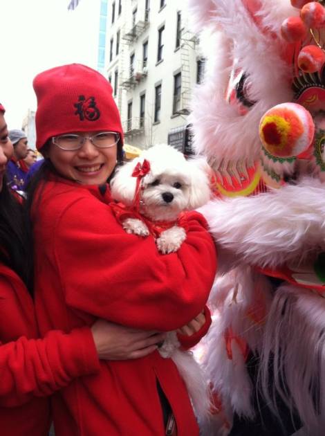 1620557_1439831029584807_135217306_n