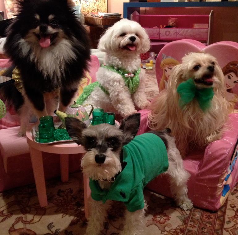 1167246_524907160961150_1695154662_o