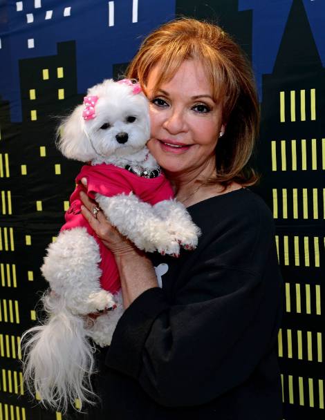 Bella Mia attends Puccini 6th Birthday Party