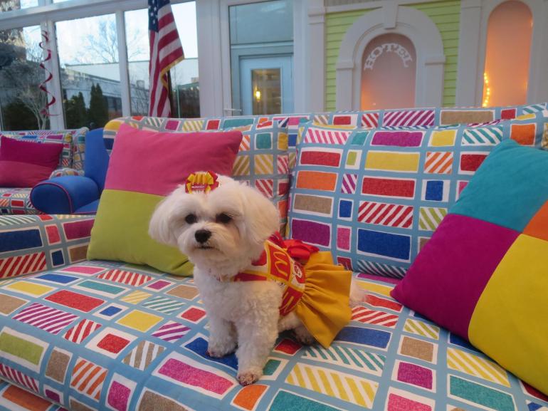 1800119_1447161832185060_353093716_o