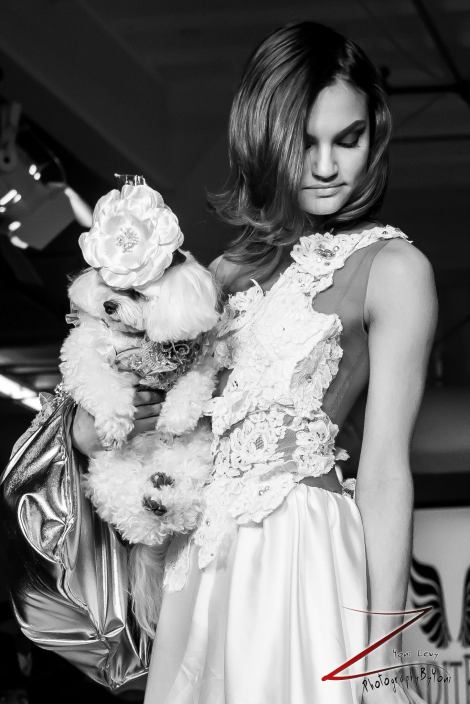 1974378_689360474440617_917014223_o