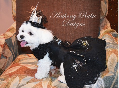 Bella Mia in New York Skyline Dress by Anthony Rubio Designs