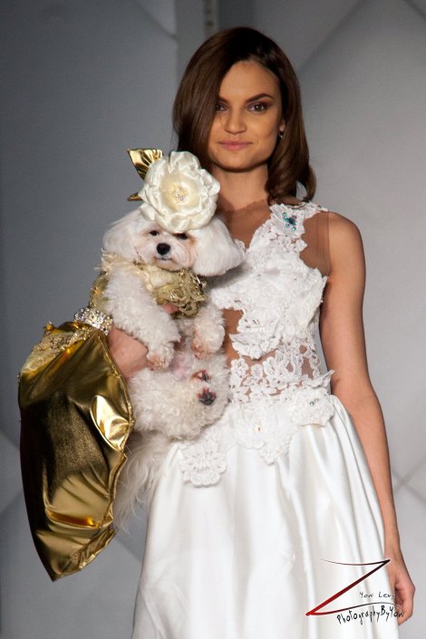 Anthony Rubio Fashion Week Brooklyn 2014 Pet Fashion Show 1