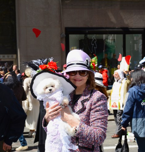 Bella Mia DSC_2240NEW