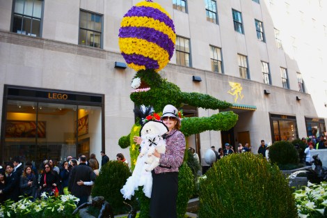 bella mia DSC_2347new