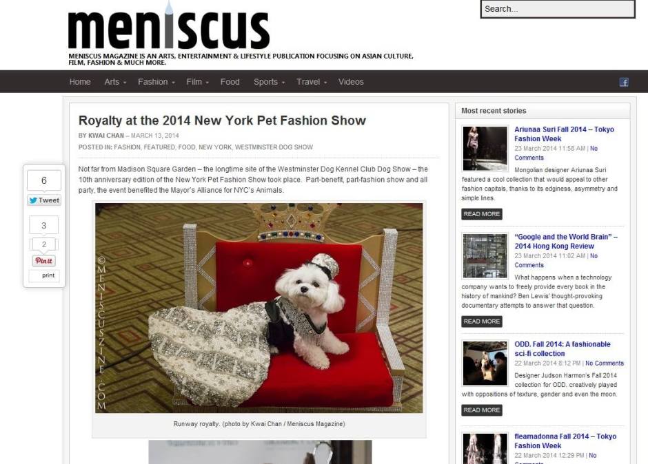 Anthony Rubio Dress Pet Fashion